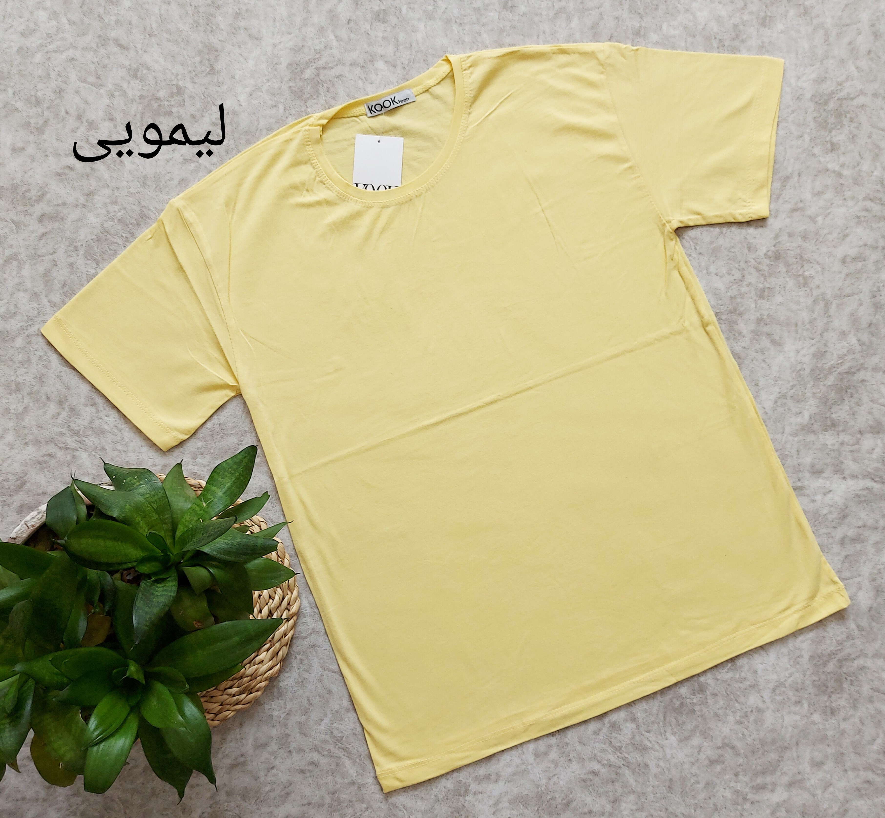 تیشرت بیسیک