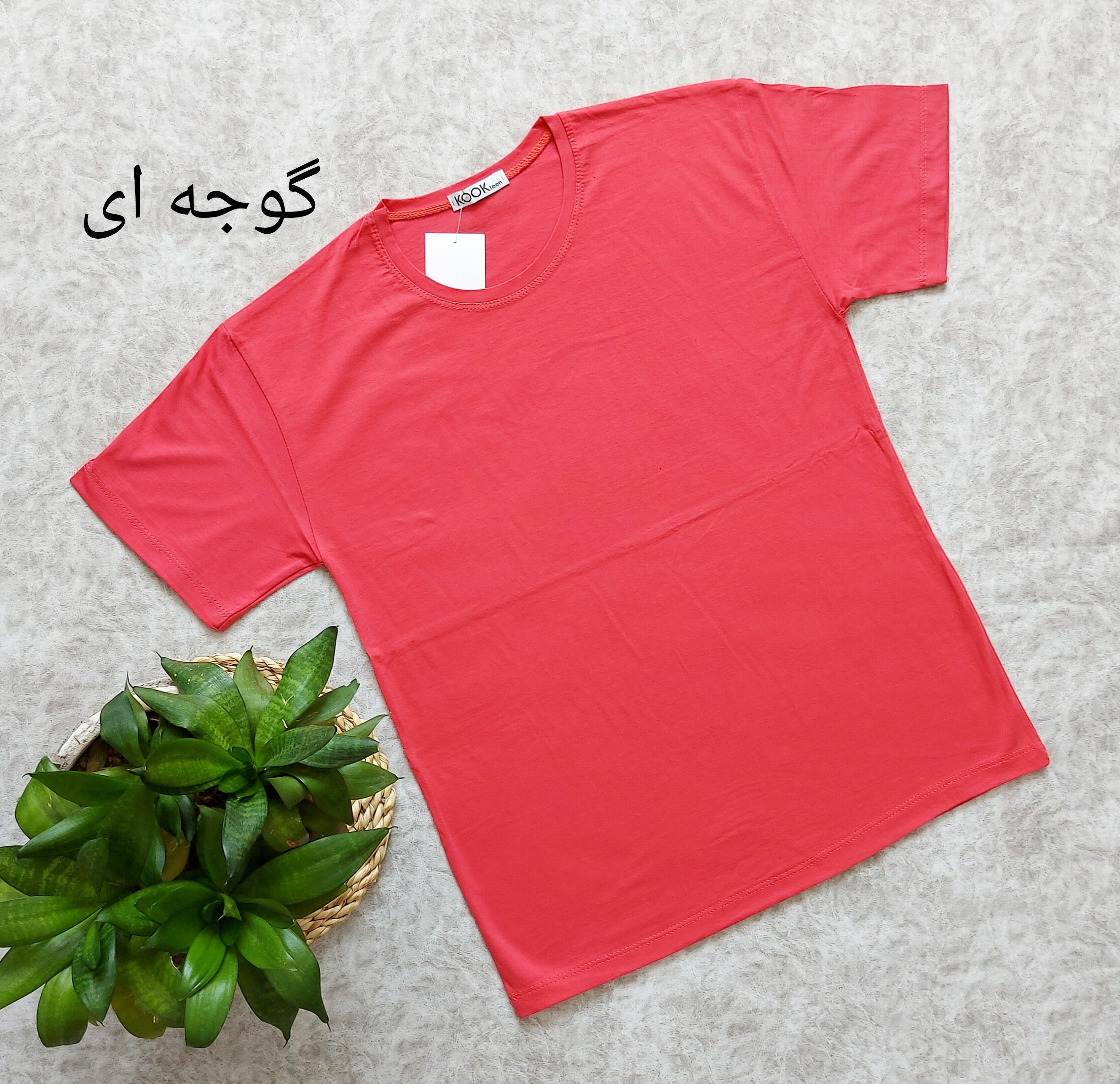 تیشرت بیسیک